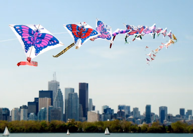 Chinese Kites: The Colorful World In The Sky