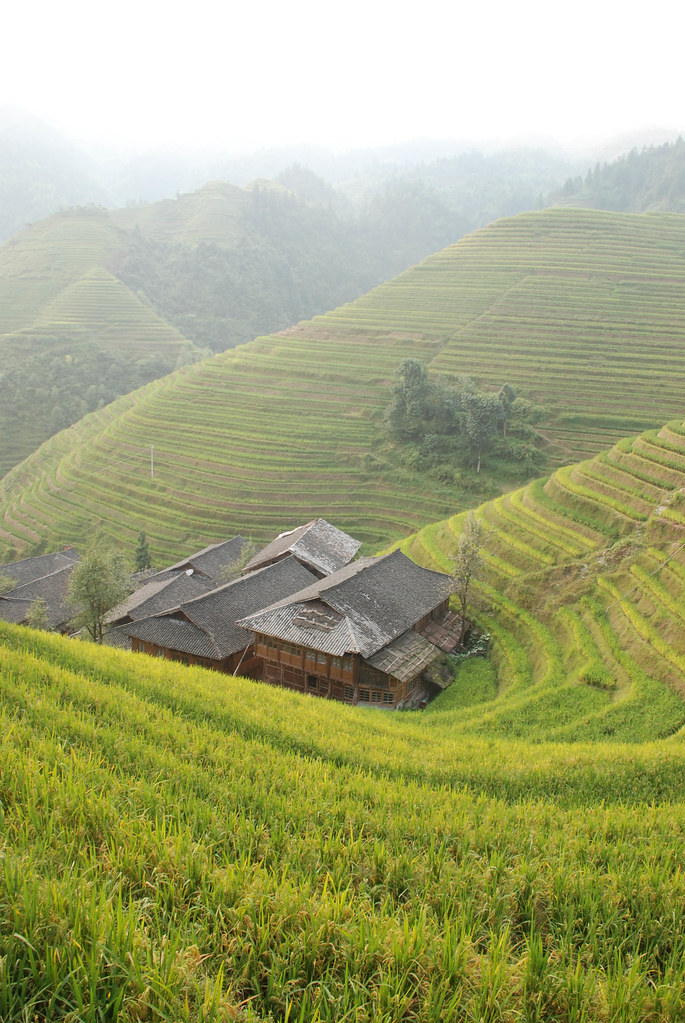 Comprehensive Guide To Rice Terraces In China: What Most Guides Won'T Tell You 8 Comprehensive Guide To Rice Terraces In China: What Most Guides Won'T Tell You