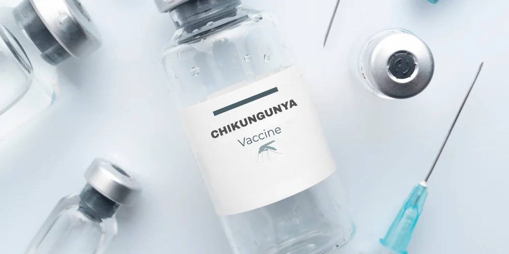 Chikungunya Virus In China: Essential Safety Guide For Travelers 7 Chikungunya Virus In China: Essential Safety Guide For Travelers