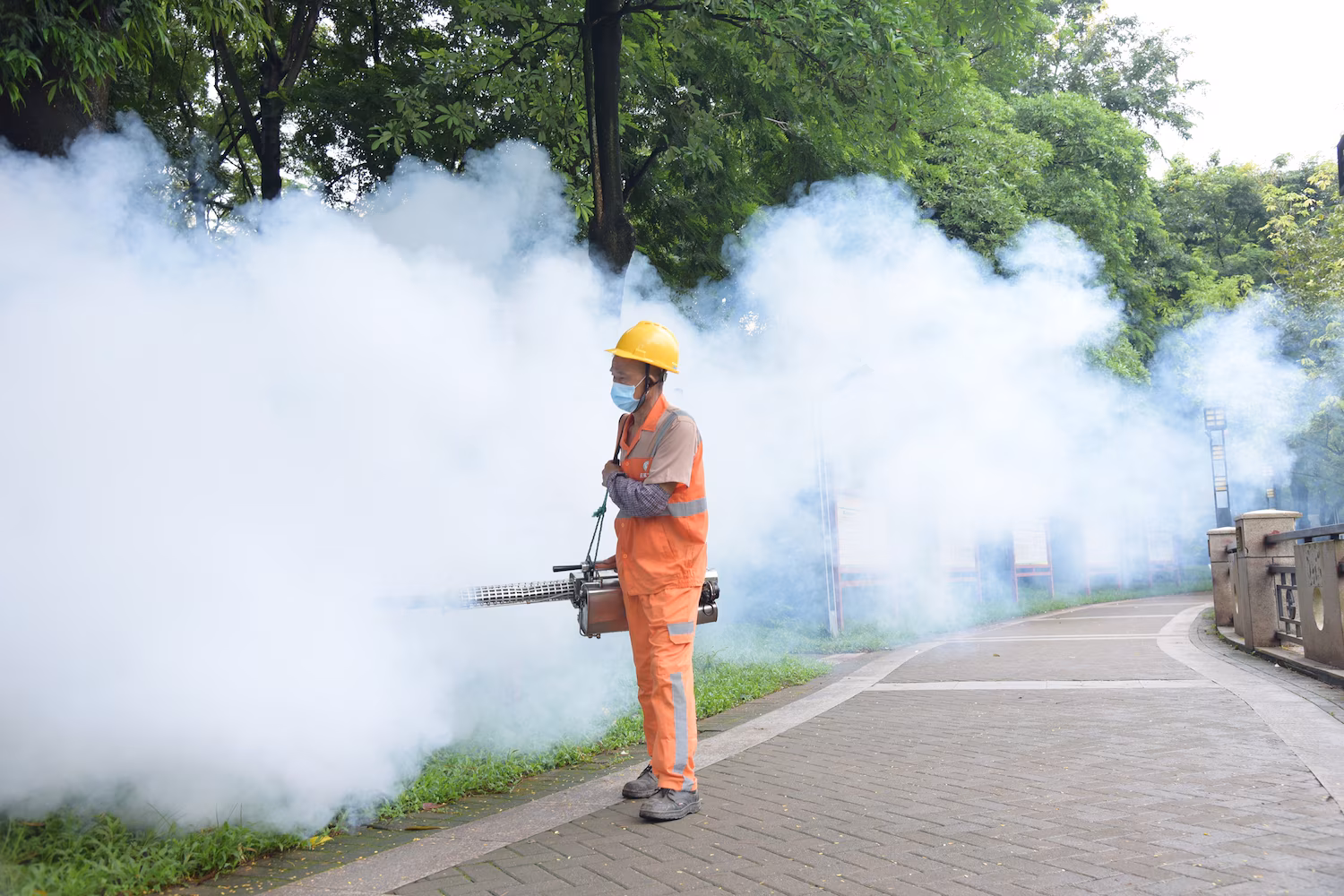 Chikungunya Virus In China: Essential Safety Guide For Travelers 6 Chikungunya Virus In China: Essential Safety Guide For Travelers