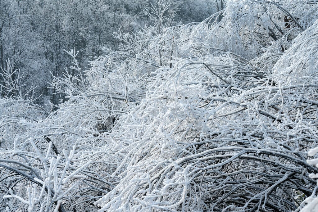Snow In Zhangjiajie: Season, Best Spots &Amp; What To Expect