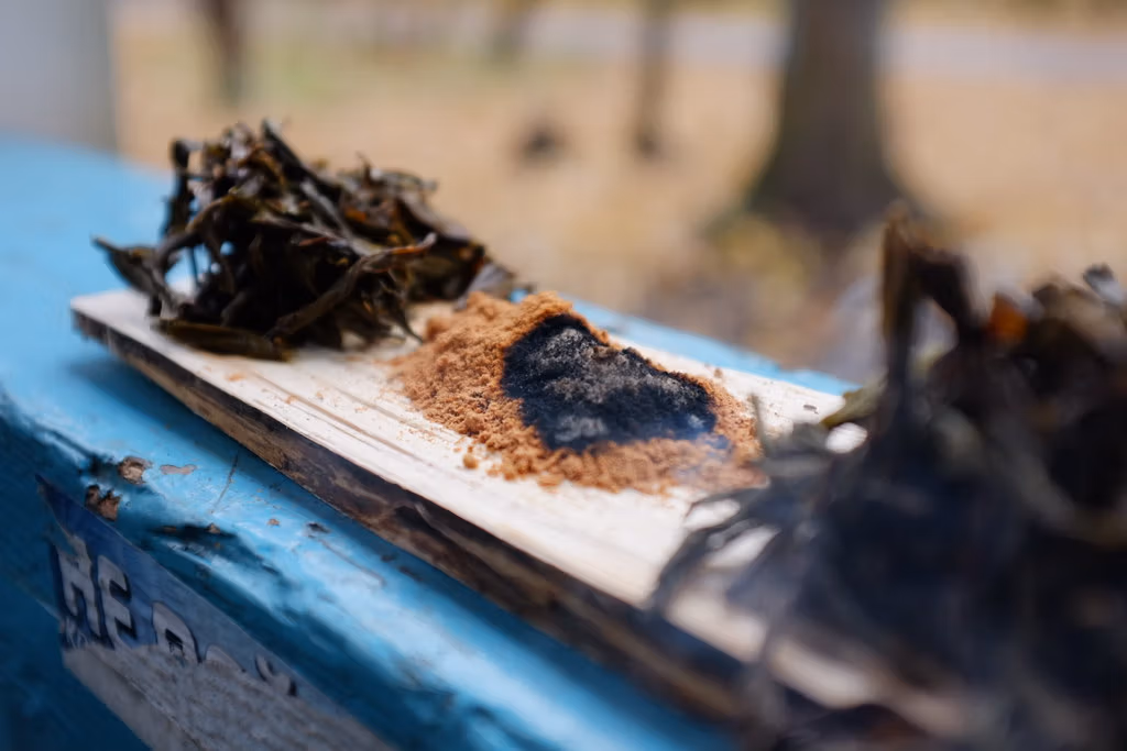 The Complete Guide To Burning Incense In China: Traditions, Etiquette, And Cultural Significance