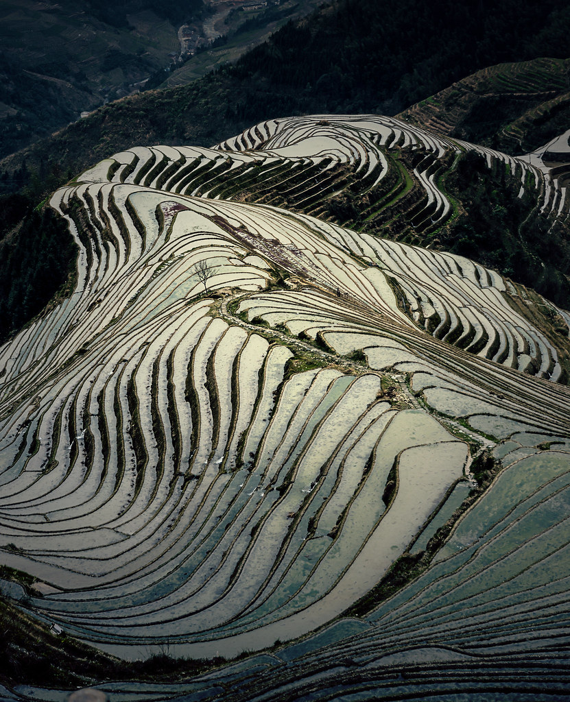 Comprehensive Guide To Rice Terraces In China: What Most Guides Won'T Tell You 7 Comprehensive Guide To Rice Terraces In China: What Most Guides Won'T Tell You