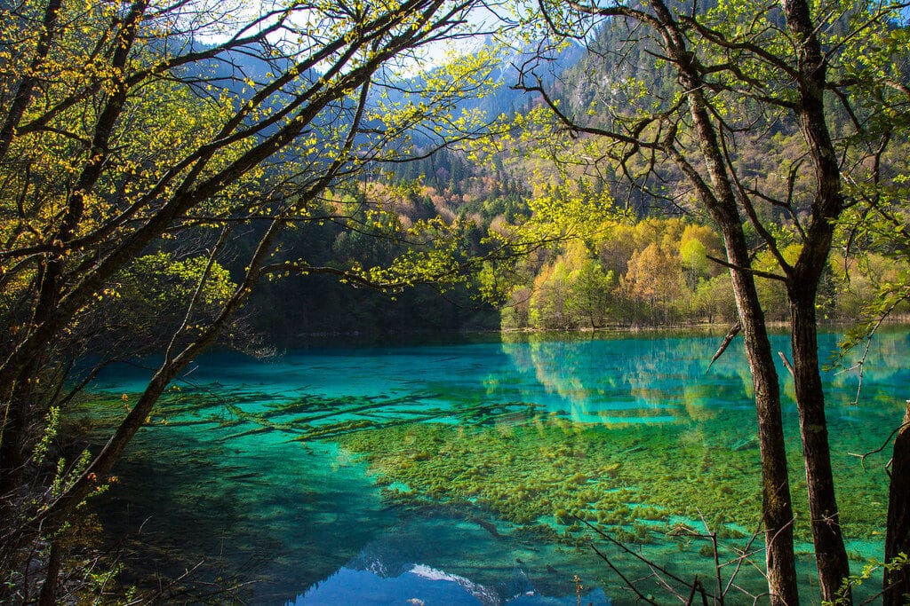 Jiuzhaigou Valley: The Complete Guide