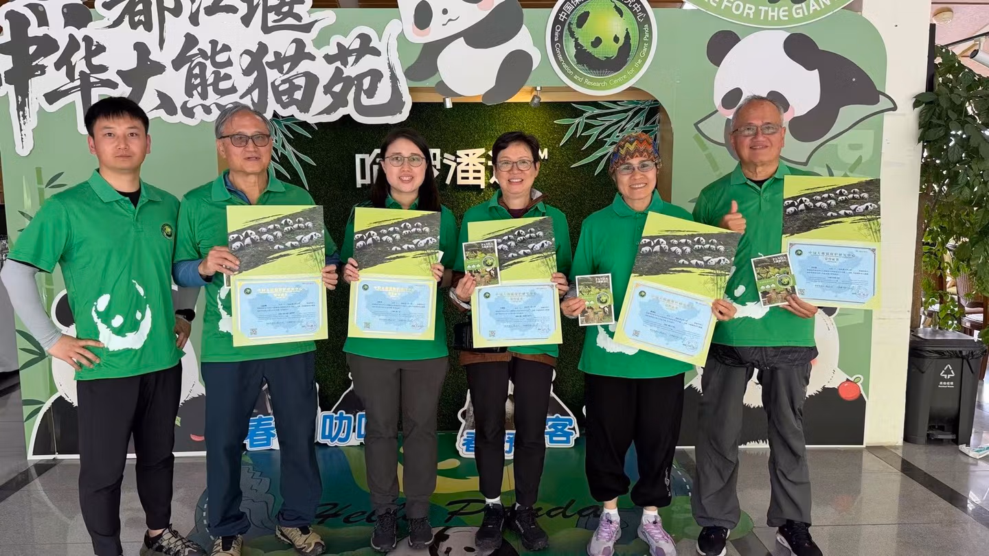 Chengdu Panda Bases Guide: Which One Should You Visit? 6 Group Of Panda Volunteers With Certificates