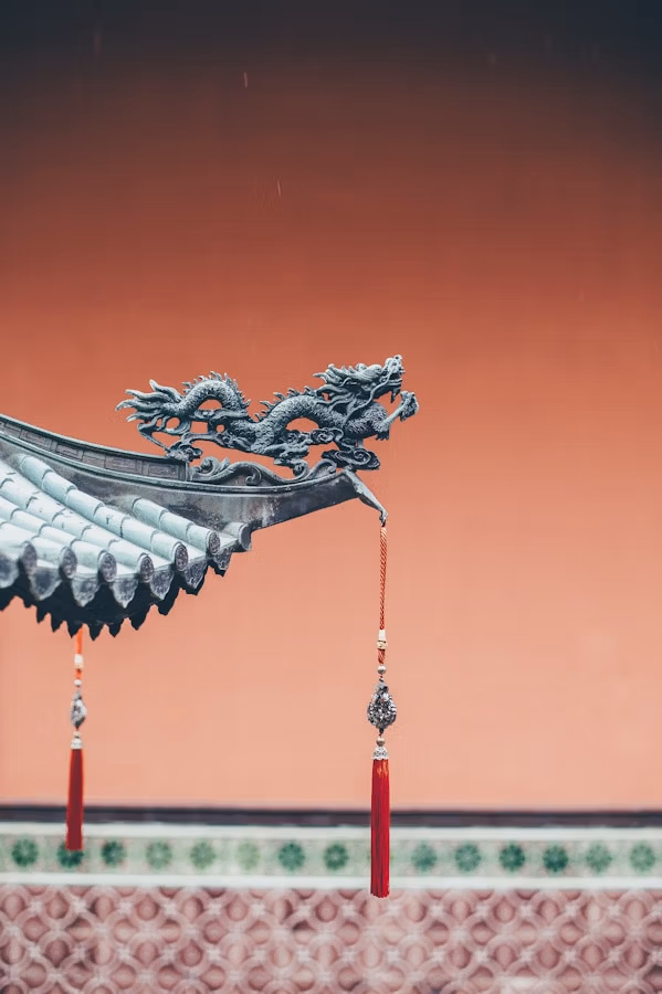 Chikungunya Virus In China: Essential Safety Guide For Travelers 14 Red Tassel