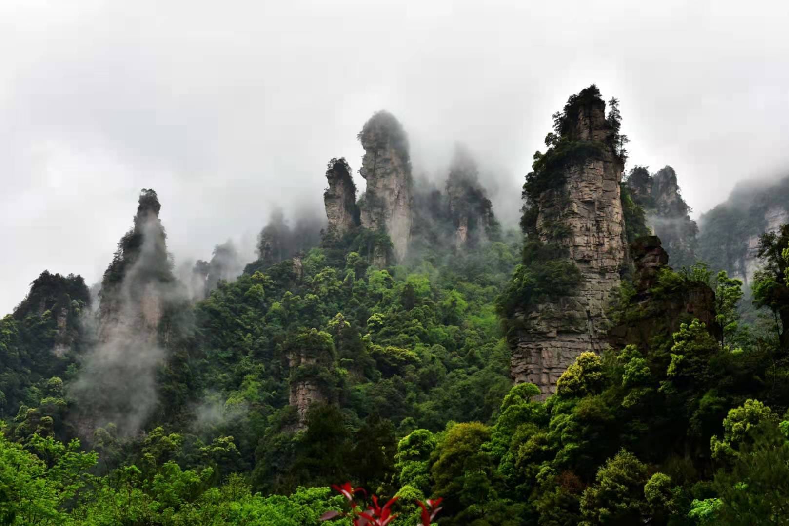 Ten-Mile Gallery (Shili Hualang): The Ultimate Expert Guide 14 Ten-Mile Gallery (Shili Hualang): The Ultimate Expert Guide