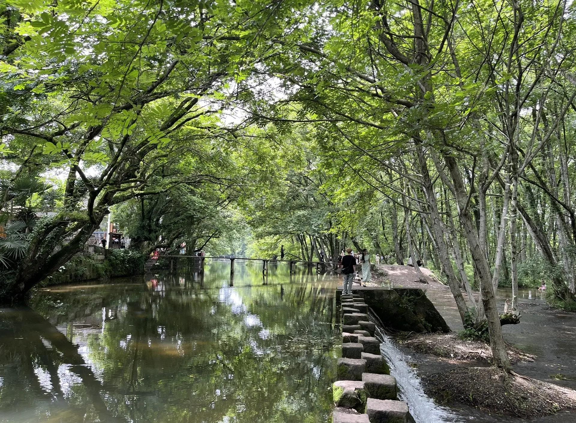 Xixinan Village: Complete Travel Guide To Huangshan'S Hidden Ancient Water Village 20 Xixinan Village: Complete Travel Guide To Huangshan'S Hidden Ancient Water Village